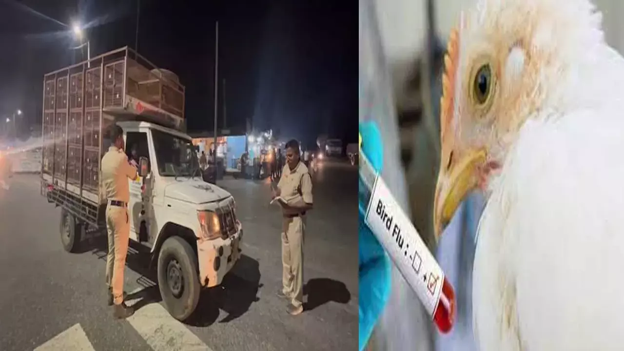 Telangana High Alert. : ఏపీ కోడి తెలంగాణకు రావద్దు.. రేవంత్ హైఅలర్ట్ Telangana High Alert. : ఏపీ కోడి తెలంగాణకు రావద్దు.. రేవంత్ హైఅలర్ట్