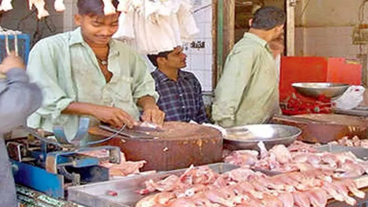 Bird Flu Impact : బర్డ్ ఫ్లూ ఎఫెక్ట్.. భారీగా తగ్గిన చికెన్ సేల్స్ Bird Flu Impact : బర్డ్ ఫ్లూ ఎఫెక్ట్.. భారీగా తగ్గిన చికెన్ సేల్స్