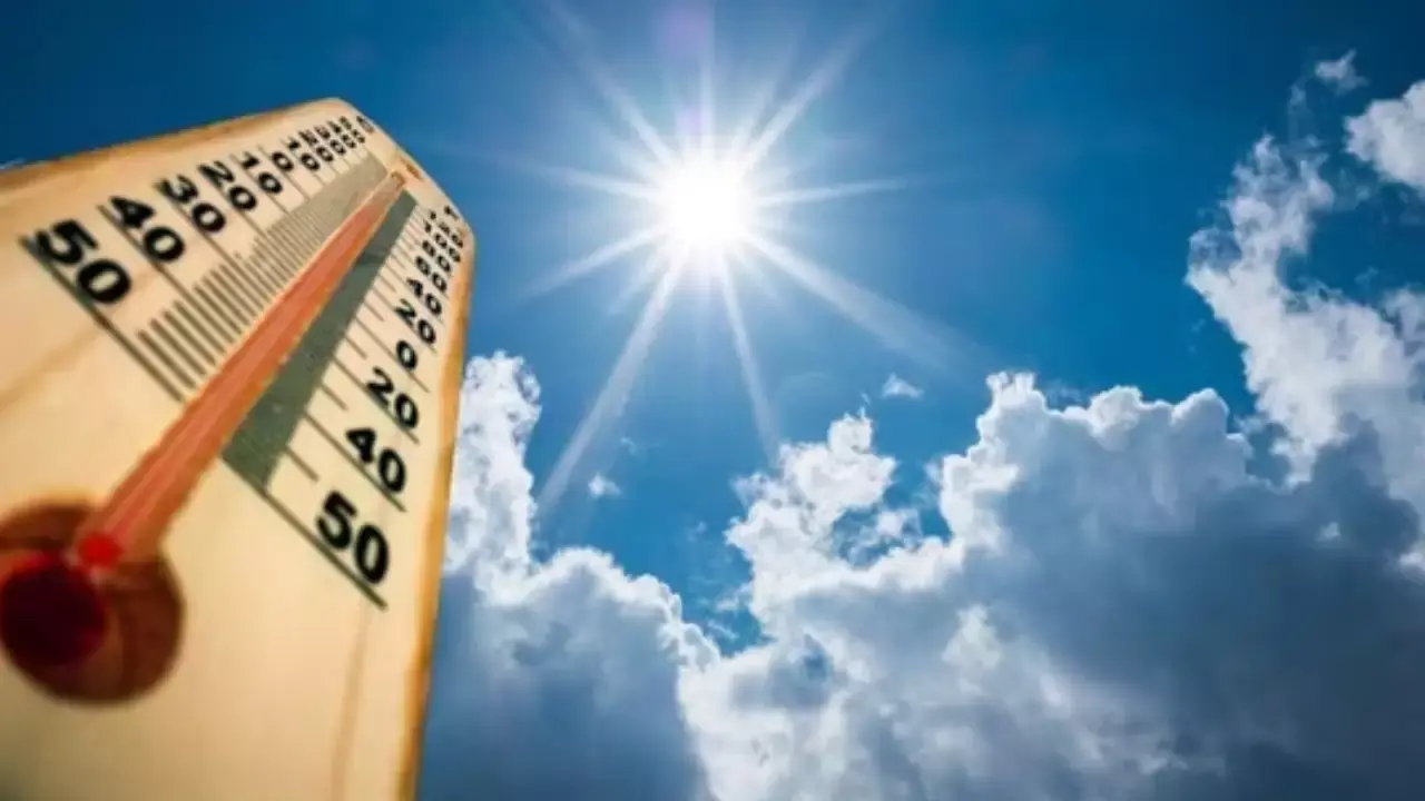 IMD Forecast : ఎండల తీవ్రత మరింతం.. మార్చి 15 నుంచి జాగ్రత్త! IMD Forecast : ఎండల తీవ్రత మరింతం.. మార్చి 15 నుంచి జాగ్రత్త!