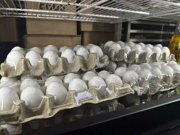 Bird Flu Outbreak In US: అగ్రరాజ్యం అమెరికాను సైతం భయపెడుతున్న బర్డ్ ఫ్లూ.. Bird Flu Outbreak In US: అగ్రరాజ్యం అమెరికాను సైతం భయపెడుతున్న బర్డ్ ఫ్లూ..