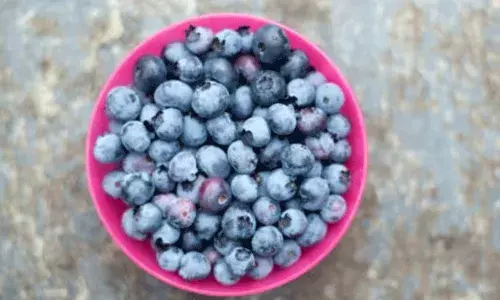 బ్లూబెర్రీస్ లో అనేక శక్తివంతమైన పోషకాలు.. ప్రతిరోజూ తీసుకుంటే.. బ్లూబెర్రీస్ లో అనేక శక్తివంతమైన పోషకాలు.. ప్రతిరోజూ తీసుకుంటే..