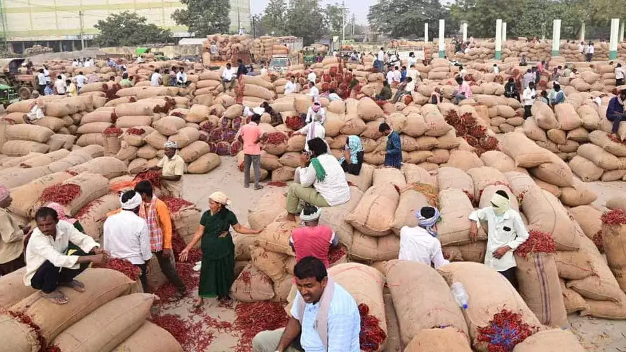 Khammam Market : ఖమ్మం మార్కెట్ కు ఒక్క రోజే 90 వేల బస్తాల మిర్చి Khammam Market : ఖమ్మం మార్కెట్ కు ఒక్క రోజే 90 వేల బస్తాల మిర్చి