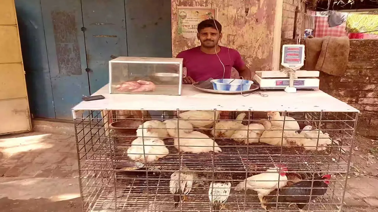 Chicken Prices Drop : హైదరాబాద్ లో మళ్లీ తగ్గిన చికెన్ ధరలు.. కేజీ ఎంతంటే! Chicken Prices Drop : హైదరాబాద్ లో మళ్లీ తగ్గిన చికెన్ ధరలు.. కేజీ ఎంతంటే!