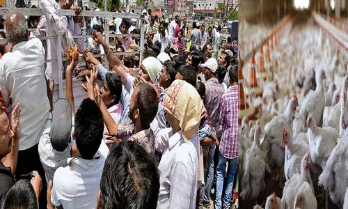 Free Chicken Mela : పట్టణాల్లో ఫ్రీ చికెన్ మేళా Free Chicken Mela : పట్టణాల్లో ఫ్రీ చికెన్ మేళా