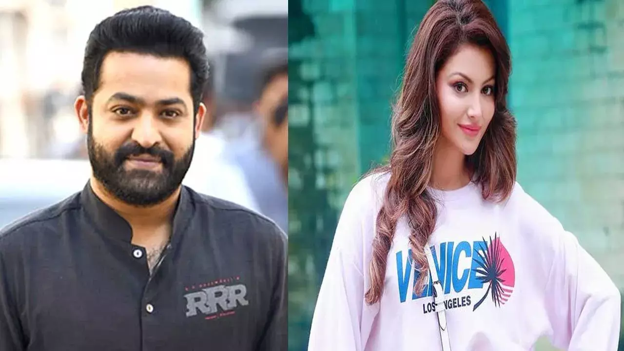 Tollywood : హాట్ బ్యూటీకి బంపర్ ఆఫర్.. ఎన్టీఆర్ సినిమాలో ఛాన్స్ Tollywood : హాట్ బ్యూటీకి బంపర్ ఆఫర్.. ఎన్టీఆర్ సినిమాలో ఛాన్స్