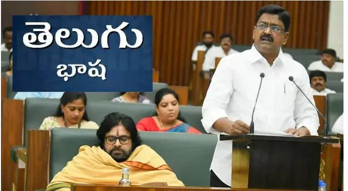 AP: తెలుగు భాషాభివృద్ధికి నిధులు