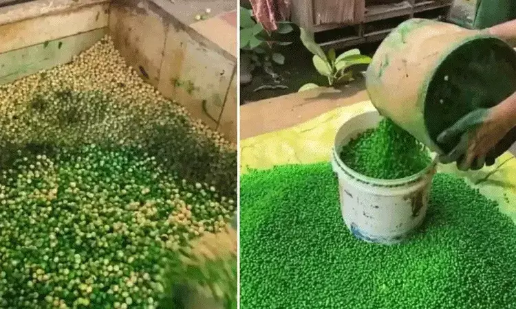 Karnataka: పచ్చి బఠానీలలో కృత్రిమ రంగులు.. క్యాన్సర్ కారకాలు..