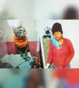 Uttar Pradesh: పెంపుడు పిల్లి మరణంతో కుంగిపోయిన మహిళ ఏం చేసిందంటే Uttar Pradesh: పెంపుడు పిల్లి మరణంతో కుంగిపోయిన మహిళ ఏం చేసిందంటే