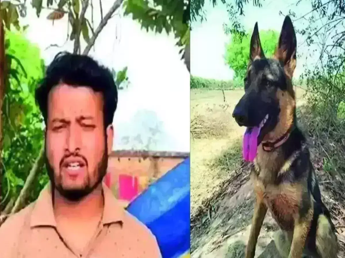 Madhya Pradesh: యజమానిని కాపాడేందుకు పులితో పోరాడిన శునకం.. Madhya Pradesh: యజమానిని కాపాడేందుకు పులితో పోరాడిన శునకం..