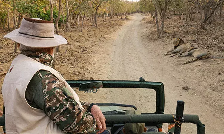 ప్రపంచ వన్యప్రాణుల దినోత్సవం.. గిర్ ఫారెస్ట్ లో ప్రధాని మోదీ ప్రపంచ వన్యప్రాణుల దినోత్సవం.. గిర్ ఫారెస్ట్ లో ప్రధాని మోదీ