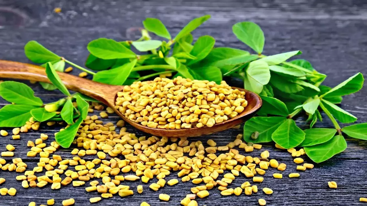 Health Tips : మెంతులను రోజూ తీసుకుంటే ఇన్ని లాభాలా?