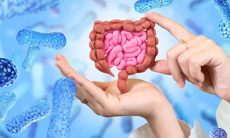 గట్ ఆరోగ్యాన్ని మెరుగుపరచుకోవడానికి నిపుణుల చిట్కాలు.. గట్ ఆరోగ్యాన్ని మెరుగుపరచుకోవడానికి నిపుణుల చిట్కాలు..