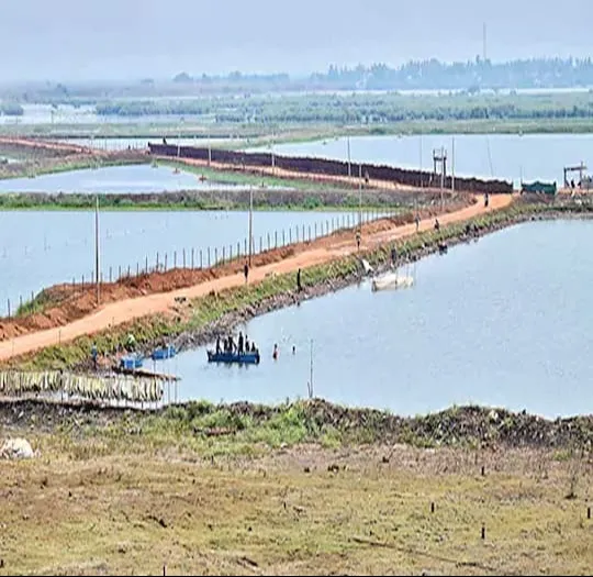 AP: కొల్లేరు ఆక్రమణలపై సర్వే ప్రారంభం