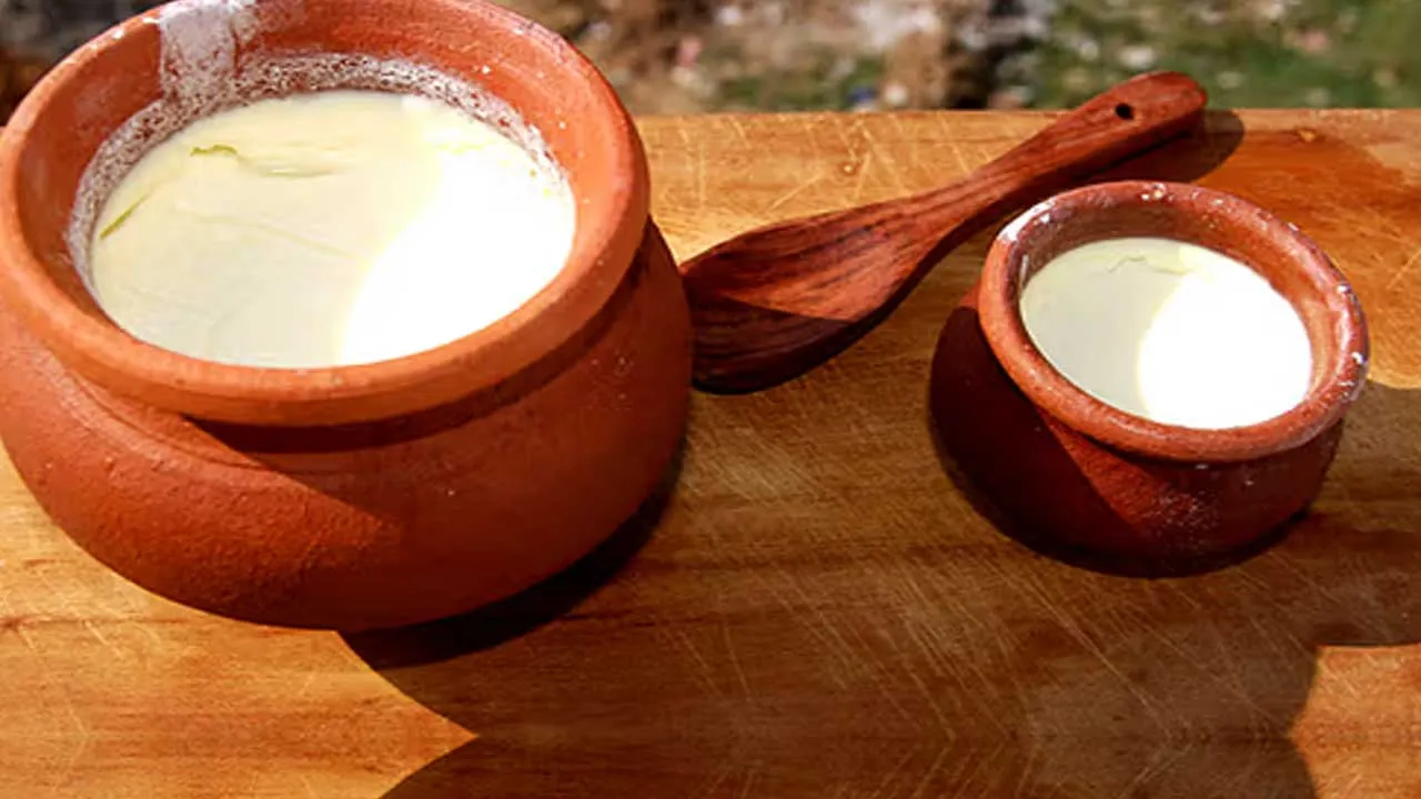Health Benefits : మట్టి కుండలో పెరుగు పుల్లగవ్వదా..? ఏ పాత్రలో చేసిన పెరుగు తినాలి..? Health Benefits : మట్టి కుండలో పెరుగు పుల్లగవ్వదా..? ఏ పాత్రలో చేసిన పెరుగు తినాలి..?