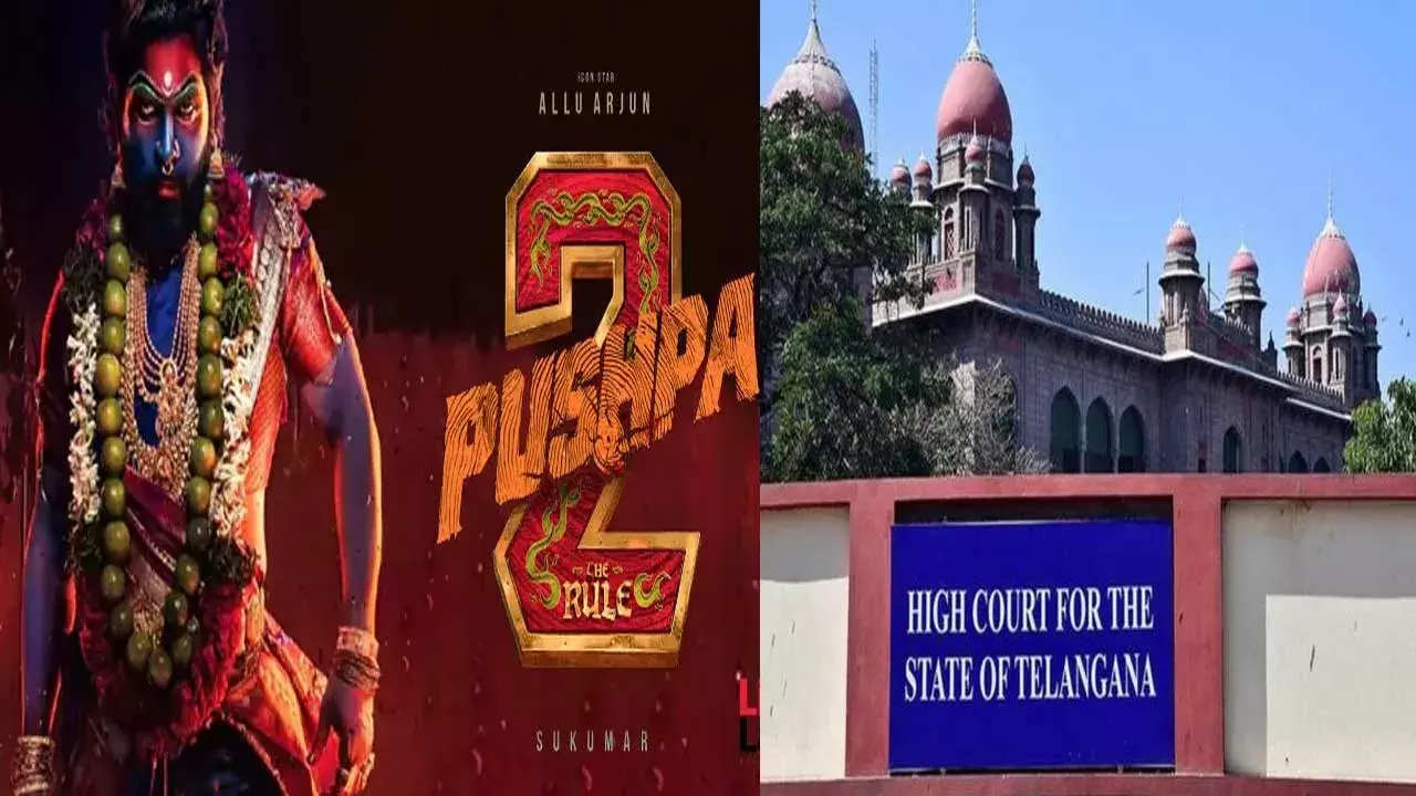 High Court : పుష్ప-2 లాభాలతో కళాకారులకు పింఛన్.. హైకోర్టులో పిల్ High Court : పుష్ప-2 లాభాలతో కళాకారులకు పింఛన్.. హైకోర్టులో పిల్