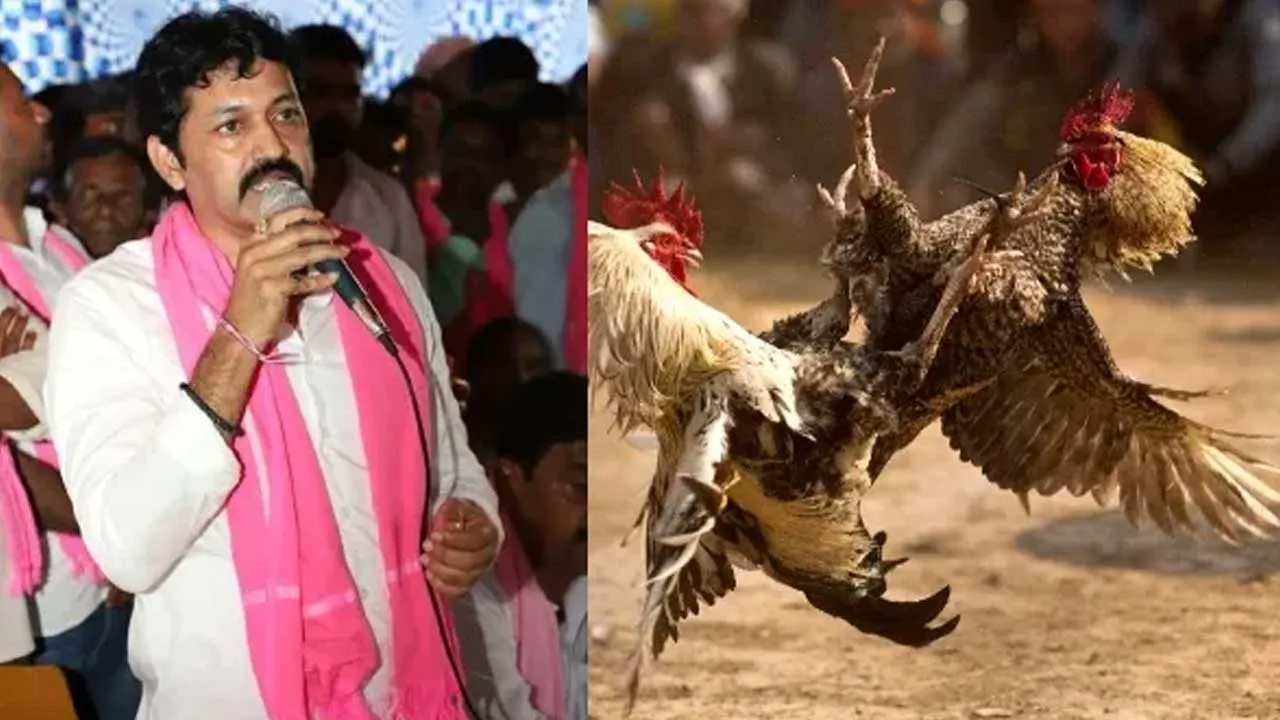 TG : ఫామ్ హౌస్ లో కోడి పందేల కేసు .. ఎమ్మెల్సీ పోచంపల్లికి మరోసారి నోటీసులు TG : ఫామ్ హౌస్ లో కోడి పందేల కేసు .. ఎమ్మెల్సీ పోచంపల్లికి మరోసారి నోటీసులు