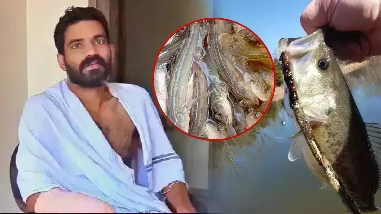 Fish bite: చేప కొరికితే  అంత డేంజరా .. ఏకంగా చెయ్యే తీసేశారు Fish bite: చేప కొరికితే  అంత డేంజరా .. ఏకంగా చెయ్యే తీసేశారు
