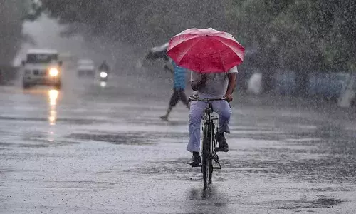Rainfall : ఈ ఏడాది నైరుతిలో వర్షపాతం సాధారణమే