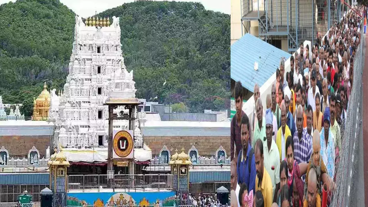TTD : 31 కంపార్టుమెంట్లలో శ్రీవారి భక్తులు TTD : 31 కంపార్టుమెంట్లలో శ్రీవారి భక్తులు