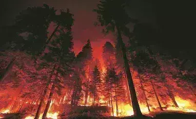 Japan: జపాన్లో కార్చిచ్చులు .. ఒకటి కాదు రెండు Japan: జపాన్లో కార్చిచ్చులు .. ఒకటి కాదు రెండు