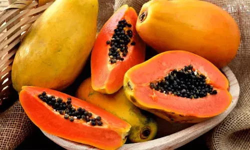 మీ వయస్సు 30 దాటితే, ఖచ్చితంగా మీ ఆహారంలో బొప్పాయిని.. మీ వయస్సు 30 దాటితే, ఖచ్చితంగా మీ ఆహారంలో బొప్పాయిని..