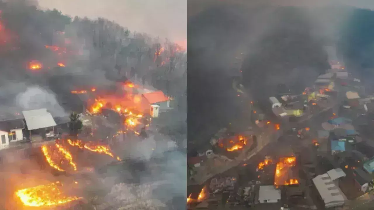 Wildfire: దక్షిణ కొరియాలో కార్చిచ్చు బీభత్సం Wildfire: దక్షిణ కొరియాలో కార్చిచ్చు బీభత్సం