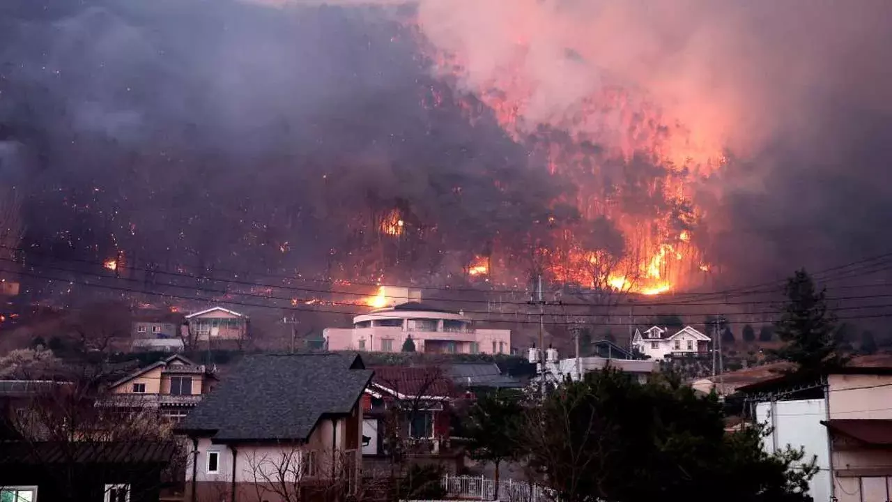 South Korea : దక్షిణ కొరియాలో కార్చిచ్చు.. 18 మంది మృతి South Korea : దక్షిణ కొరియాలో కార్చిచ్చు.. 18 మంది మృతి