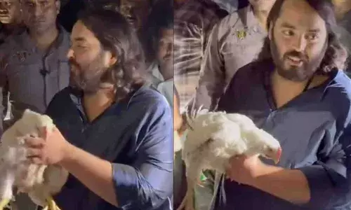 Anant Ambani : వందలాది కోళ్లను రక్షించిన అంబానీ కుమారుడు అనంత్ Anant Ambani : వందలాది కోళ్లను రక్షించిన అంబానీ కుమారుడు అనంత్