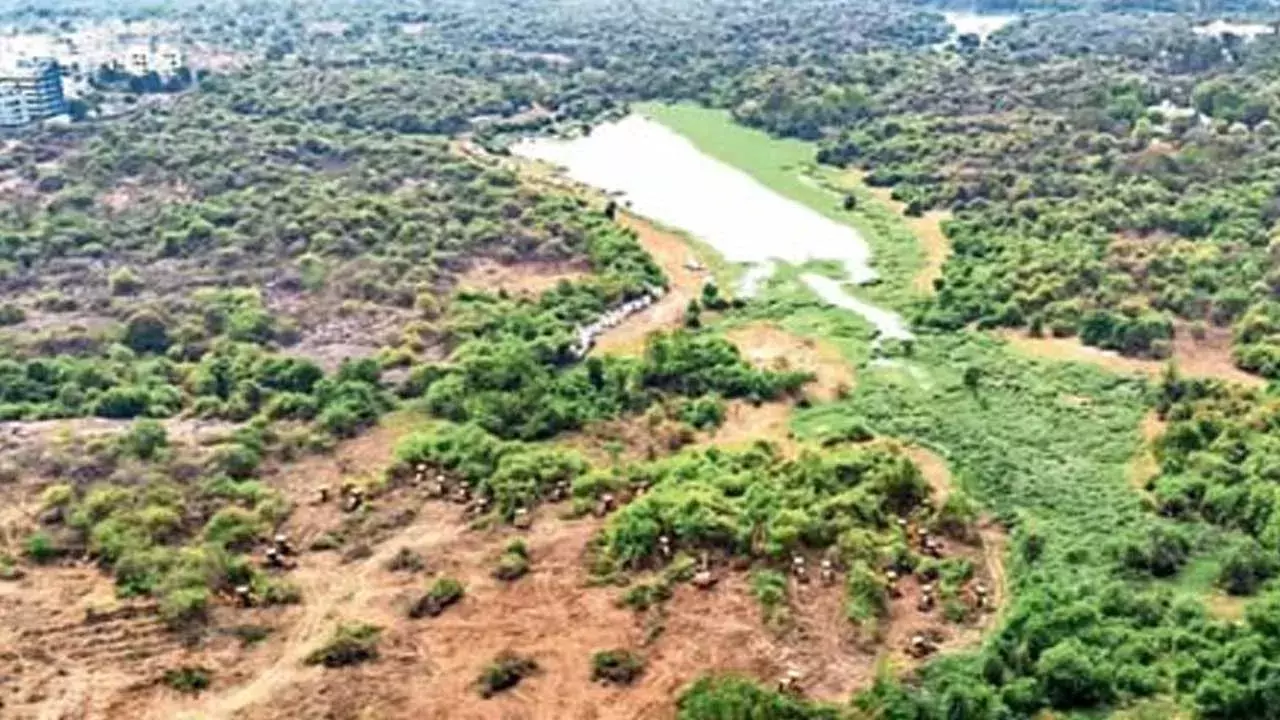 Gachibowli Land Inspection : కంచ గచ్చిబౌలి భూముల్లో కేంద్ర కమిటీ సందర్శన