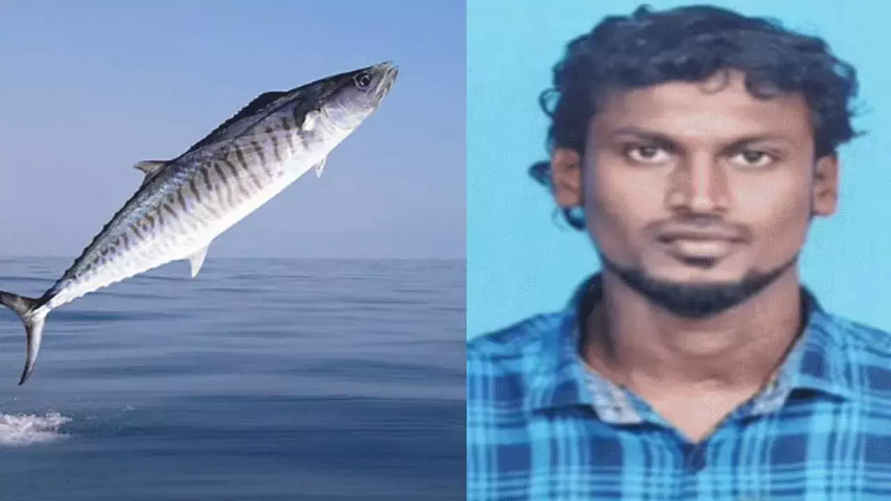 Fishermen Die : పట్టుకున్న చేప ప్రాణం తీసింది!