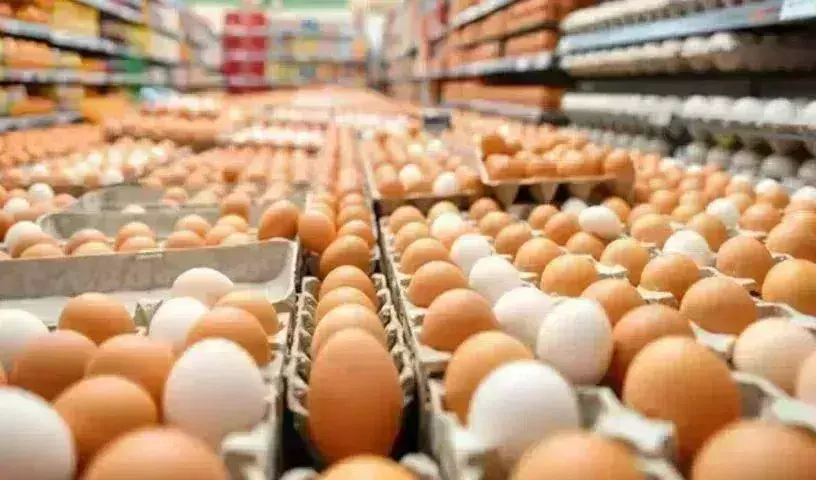 US Egg Crisis : బంగారం ధరలతో పోటీపడుతున్న కోడిగుడ్లు.. ఎక్కడంటే ? US Egg Crisis : బంగారం ధరలతో పోటీపడుతున్న కోడిగుడ్లు.. ఎక్కడంటే ?