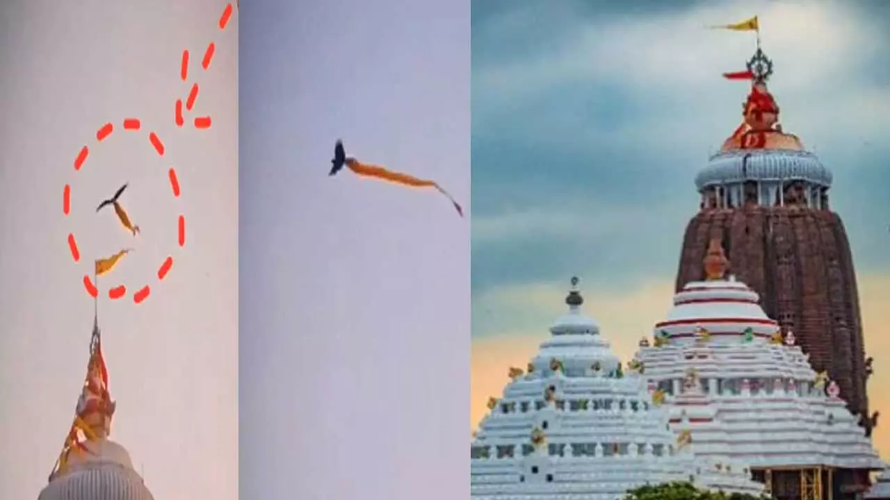 Puri Jagannath Temple : పూరీ ఆలయ శిఖరంపై జెండాను ఎత్తుకెళ్లిన గద్ద Puri Jagannath Temple : పూరీ ఆలయ శిఖరంపై జెండాను ఎత్తుకెళ్లిన గద్ద