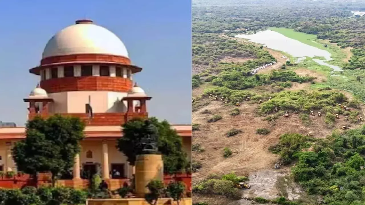 Supreme Court : చెట్ల నరికివేతను సమర్థించుకోవద్దు.. సుప్రీంకోర్టు సీరియస్ Supreme Court : చెట్ల నరికివేతను సమర్థించుకోవద్దు.. సుప్రీంకోర్టు సీరియస్