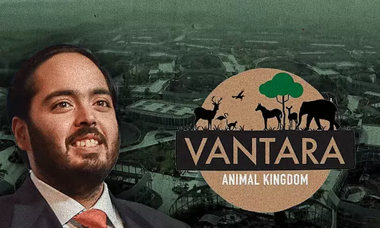 Vantara: వంటారా కోసం వందల కోట్లు ఖర్చు చేస్తున్న అనంత్ అంబానీ.. ఏడాదికి Vantara: వంటారా కోసం వందల కోట్లు ఖర్చు చేస్తున్న అనంత్ అంబానీ.. ఏడాదికి