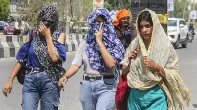 IMD : మేలో సాధారణం కన్నా అధిక ఉష్ణోగ్రతలు IMD : మేలో సాధారణం కన్నా అధిక ఉష్ణోగ్రతలు