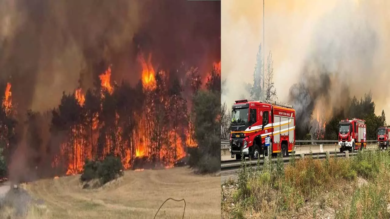 Israel Fire : ఇజ్రాయెల్ కార్చిచ్చు.. మూడు వేల ఎకరాల అడవి Israel Fire : ఇజ్రాయెల్ కార్చిచ్చు.. మూడు వేల ఎకరాల అడవి