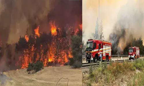 Israel Fire : ఇజ్రాయెల్ కార్చిచ్చు.. మూడు వేల ఎకరాల అడవి Israel Fire : ఇజ్రాయెల్ కార్చిచ్చు.. మూడు వేల ఎకరాల అడవి