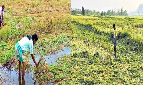 TG : ఈదురు గాలుల బీభత్సం.. రైతులకు నష్టం TG : ఈదురు గాలుల బీభత్సం.. రైతులకు నష్టం