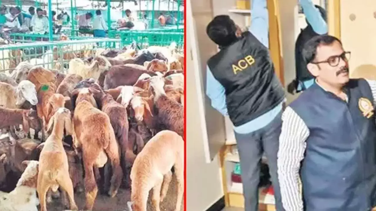 Telangana : గొర్రెల స్కాం కేసులో నిందితుల ఇళ్లలో ఏసీబీ సోదాలు Telangana : గొర్రెల స్కాం కేసులో నిందితుల ఇళ్లలో ఏసీబీ సోదాలు