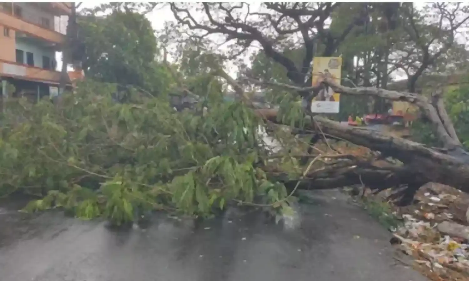 RAINS: భారీ వర్షాలతో ఆంధ్రప్రదేశ్ అతలాకుతలం RAINS: భారీ వర్షాలతో ఆంధ్రప్రదేశ్ అతలాకుతలం