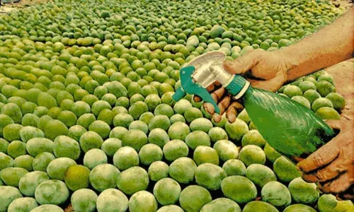 చూడడానికి అందంగా ఉన్నాయా.. అయితే అవి కచ్చితంగా కాల్షియం కార్బైడ్..