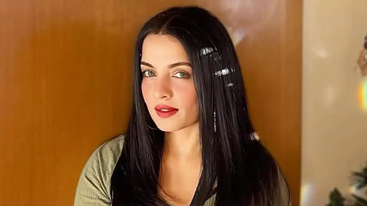 Celina Jaitly : సారీ చెప్పను.. నచ్చని వాళ్లు తనను అన్ఫాలో చేసుకోండి : సెలీనా జైట్లీ Celina Jaitly : సారీ చెప్పను.. నచ్చని వాళ్లు తనను అన్ఫాలో చేసుకోండి : సెలీనా జైట్లీ