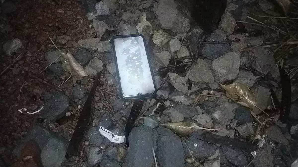 Lightning: పిడుగుపడి మొబైల్ పేలి వ్యక్తి మృతి