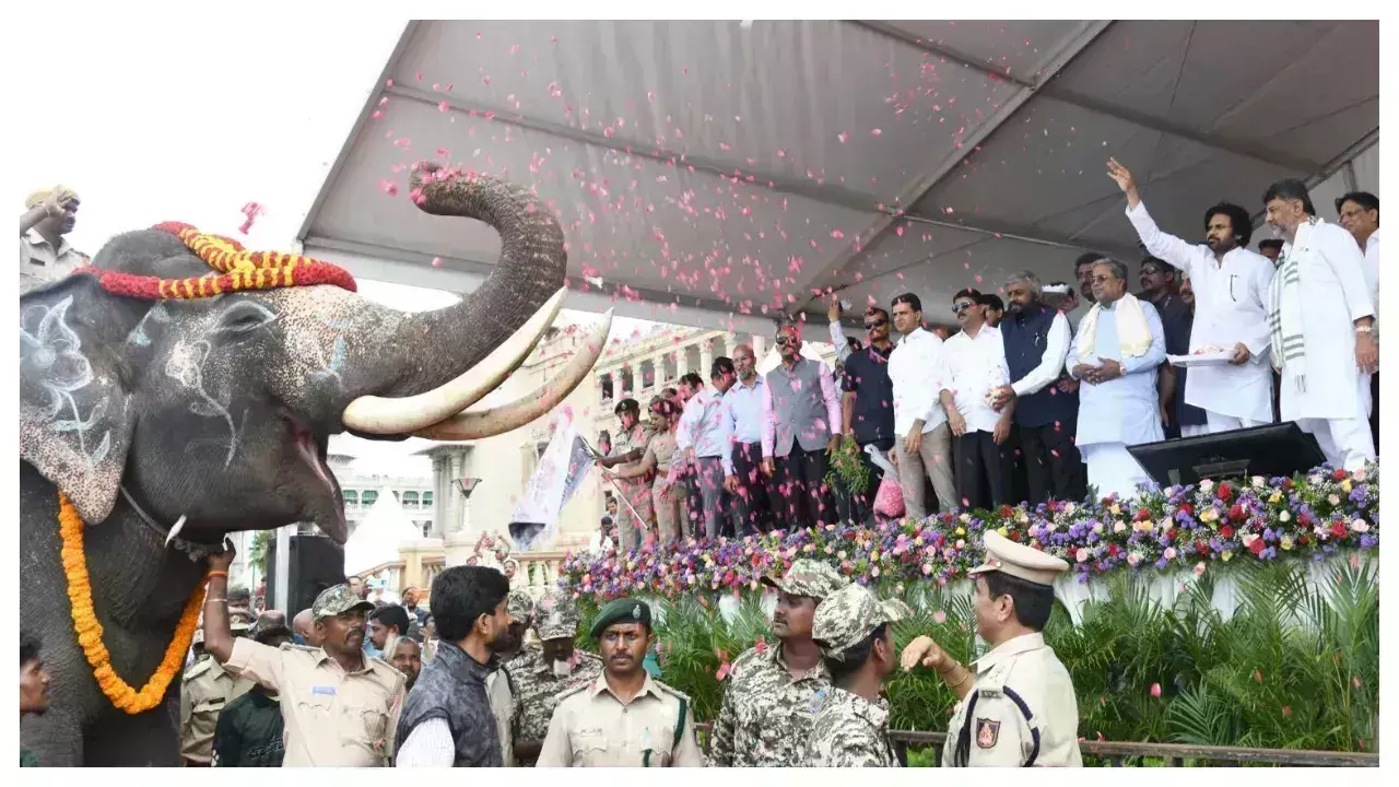 ELEPHANTS: ఆంధ్రప్రదేశ్‌కు కుంకీ ఏనుగులు