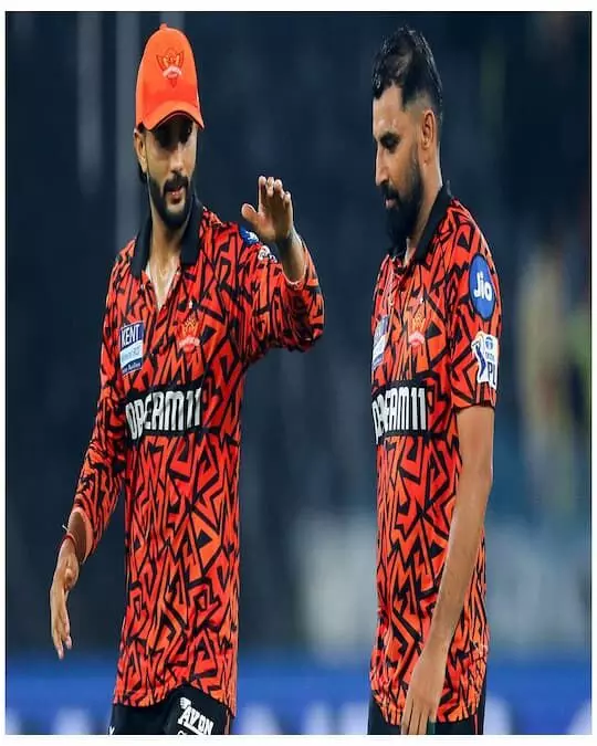 SHAMI: షమీపై సన్ రైజర్స్ కోచ్ ఆసక్తికర వ్యాఖ్యలు SHAMI: షమీపై సన్ రైజర్స్ కోచ్ ఆసక్తికర వ్యాఖ్యలు
