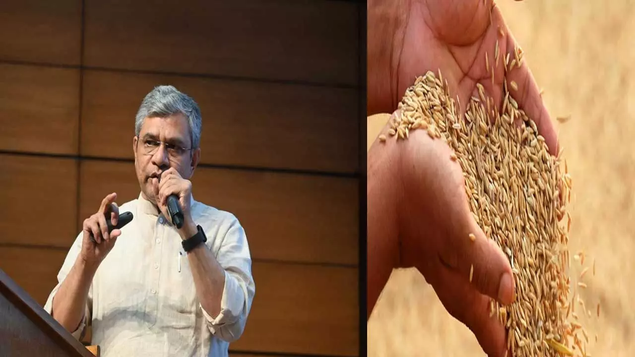Central Government : వడ్ల కనీస మద్దతు ధరవడ్లకు రూ.2,389 మద్దతు Central Government : వడ్ల కనీస మద్దతు ధరవడ్లకు రూ.2,389 మద్దతు