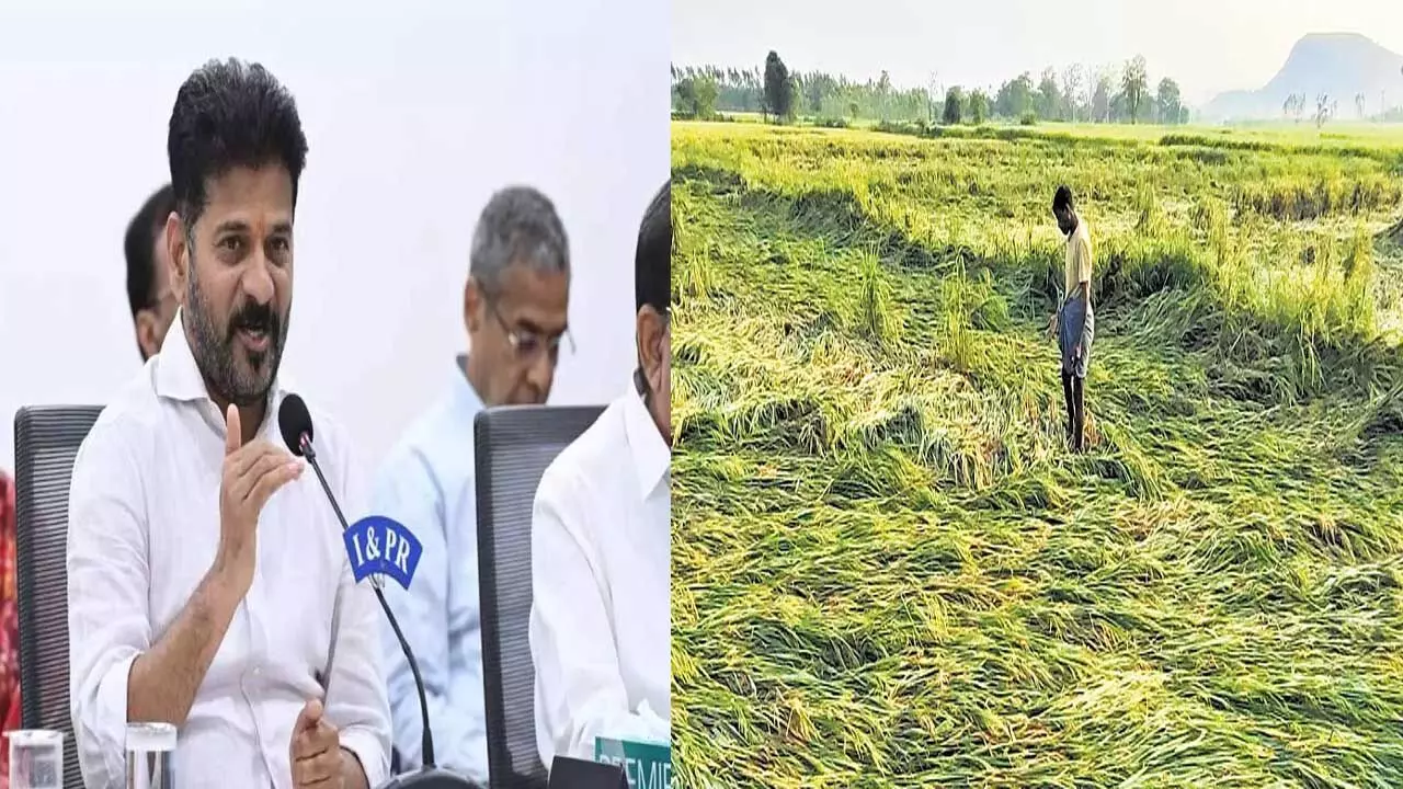 Telangana Government : పంట నష్ట పరిహారం రూ.51 కోట్లు Telangana Government : పంట నష్ట పరిహారం రూ.51 కోట్లు