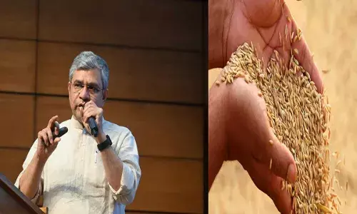 Central Government : వడ్ల కనీస మద్దతు ధరవడ్లకు రూ.2,389 మద్దతు Central Government : వడ్ల కనీస మద్దతు ధరవడ్లకు రూ.2,389 మద్దతు