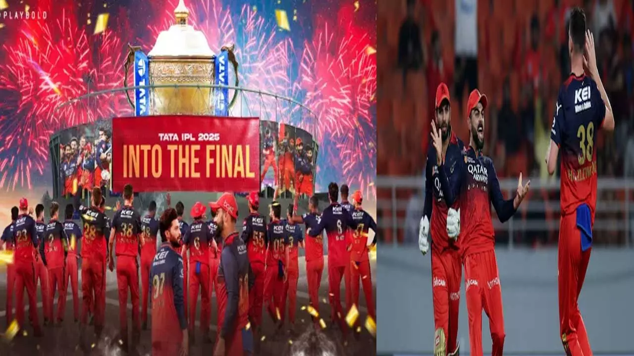 RCB : ఐపీఎల్ 2025 ఫైనల్లోకి బెంగళూరు ఎంట్రీ.. ఫ్యాన్స్ సంబరాలు RCB : ఐపీఎల్ 2025 ఫైనల్లోకి బెంగళూరు ఎంట్రీ.. ఫ్యాన్స్ సంబరాలు