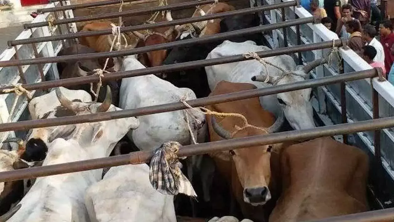 TG DGP Warnings : బక్రీద్ నేపథ్యంలో డీజీపీ హెచ్చరికలు